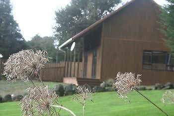 Ariari Lodge, Lake Rotorangi Stratford Ngoại thất bức ảnh